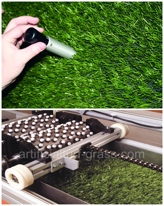 All Victory Grass (Guangzhou) Co., Ltd गुणवत्ता नियंत्रण 0